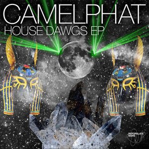 Camelphat 6