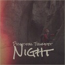 Has Anybody Seen Our Ship