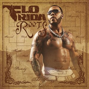 Flo Rida 21
