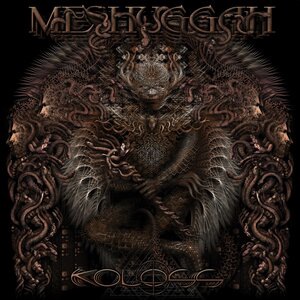 Meshuggah 15