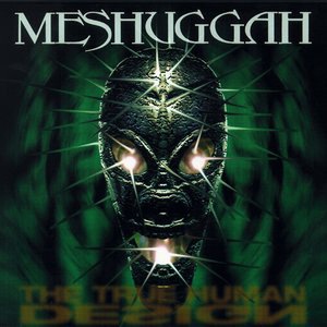 Meshuggah 8