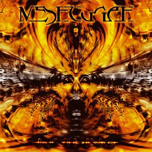 Meshuggah 6
