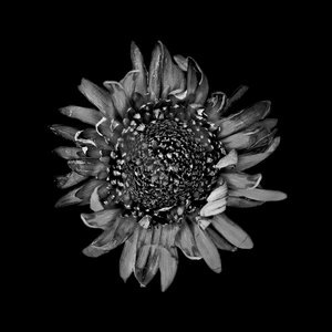 Heretics and Killers