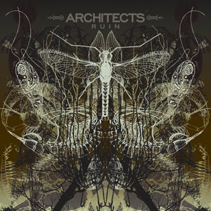 Architects 3