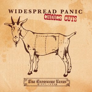 Widespread Panic 4