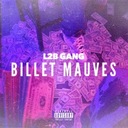 Billets Mauves