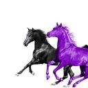 Seoul Town Road