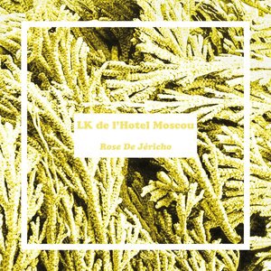 Poème Pour Fleur Qui N'Eclot Jamais