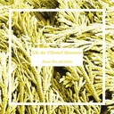 Poème Pour Fleur Qui N'Eclot Jamais