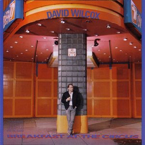 David Wilcox 7