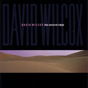 David Wilcox 6