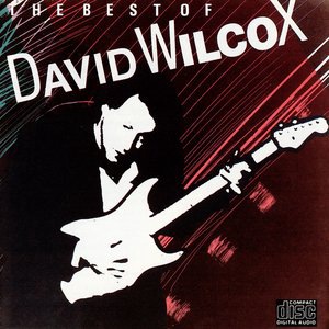 David Wilcox 5