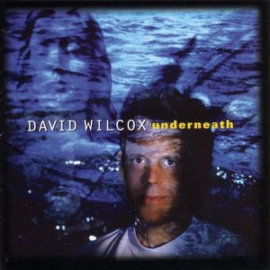 David Wilcox 3