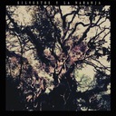 El Silvestre Muere en el Río