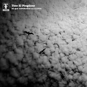 Sé Que Esperabas la Lluvia