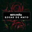 Rosas de Mayo