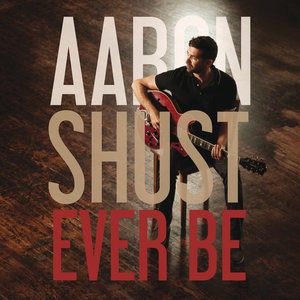 Aaron Shust 12