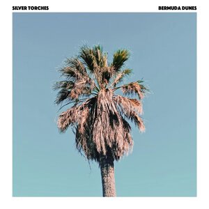 Maybe I'm Just Dreaming