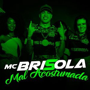 MC Brisola 15