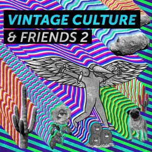 Vintage Culture 12