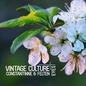 Vintage Culture 8