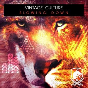 Vintage Culture 6