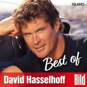 David Hasselhoff 4