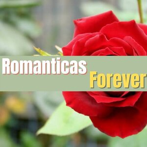 El Niño Y El Canario