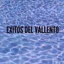 Si Tu Amor No Vuelve