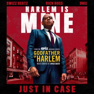 Godfather of Harlem 5