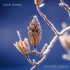 Jack Jones 29