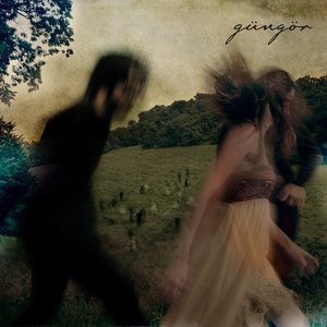 Gungor 2