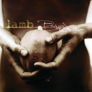 Lamb 4