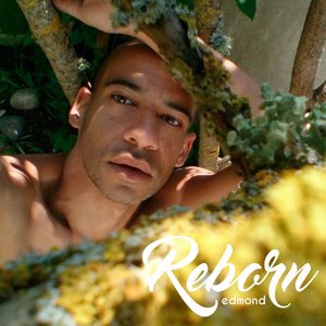 The Enchanted Forest at Night