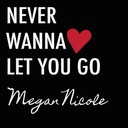 Never Wanna Let You Go