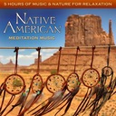 Dream Quest (Native American Flute & Drum Relaxation with Flowing Water)