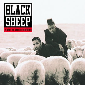 Black Sheep 1