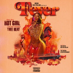 Megan Thee Stallion 5