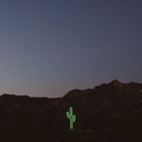 Open Skies (Wildflower)