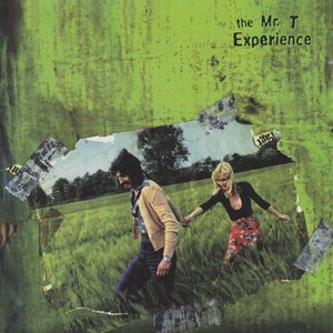 The Mr. T Experience 8