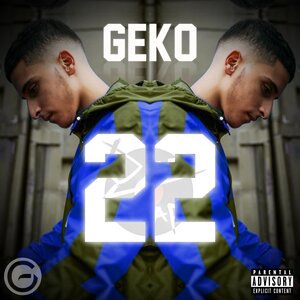 Geko 12
