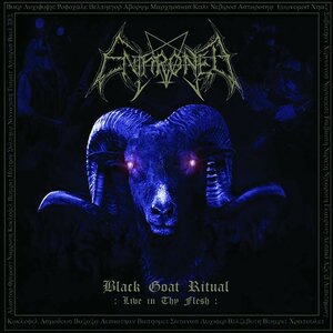 The Ultimate Horde Fights