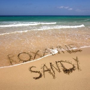 Sandy 10