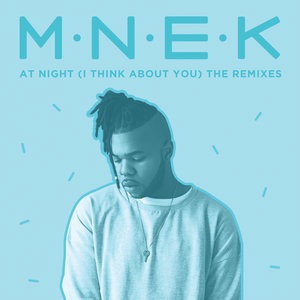 MNEK 11