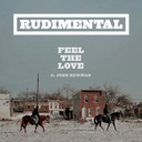 Feel the Love  [Rudimental VIP]