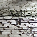 AML 2