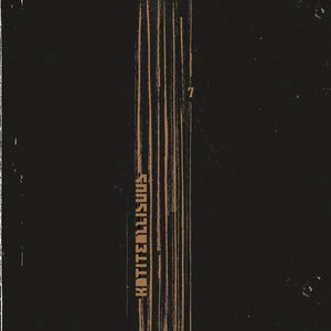 Hulluutta ja humalaa