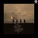 Another Set of Wings