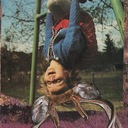 Don't Touch Anything