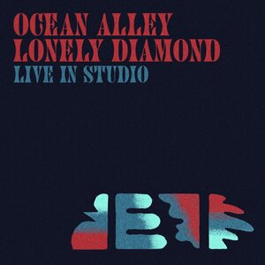 Ocean Alley 8